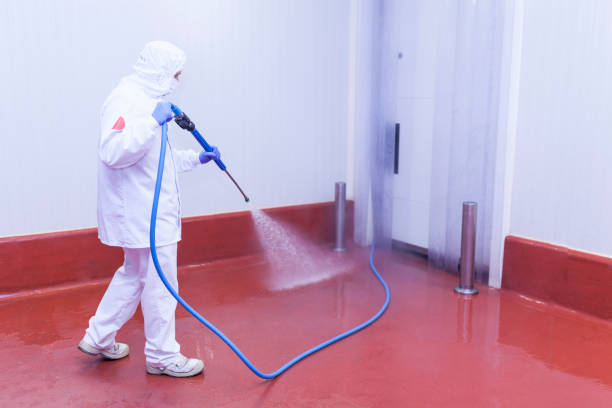 Best Driveway Cleaning and Restoration in Prairie City, IA